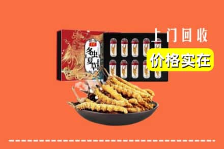 衡水市桃城回收冬虫夏草